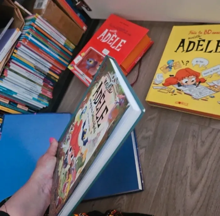 Livres et coffrets mortelle adele - photo numéro 6