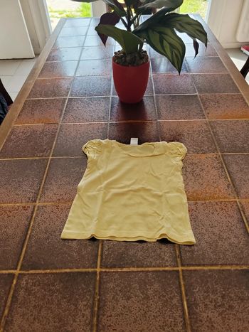 Tee shirt manches courtes