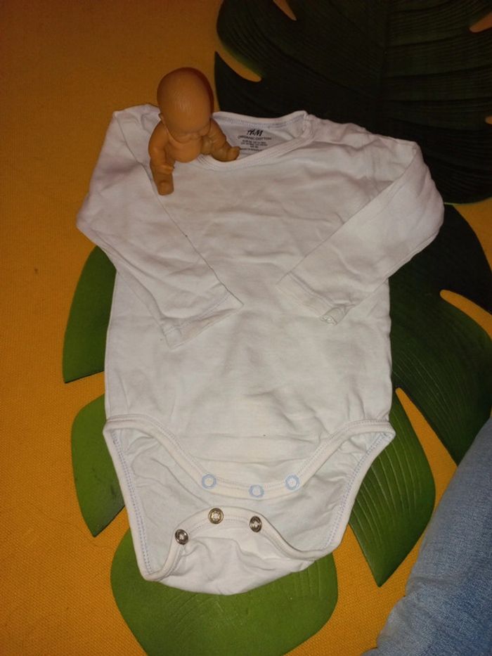 Body 12 a 18 mois coton biologique - photo numéro 2