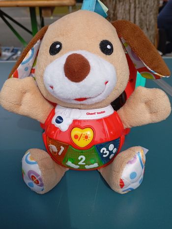 Petit chien toutou