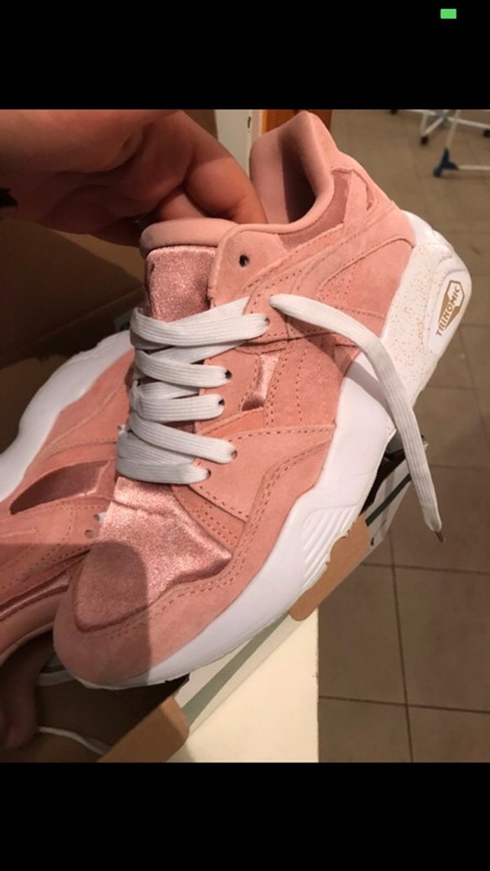 Basket puma