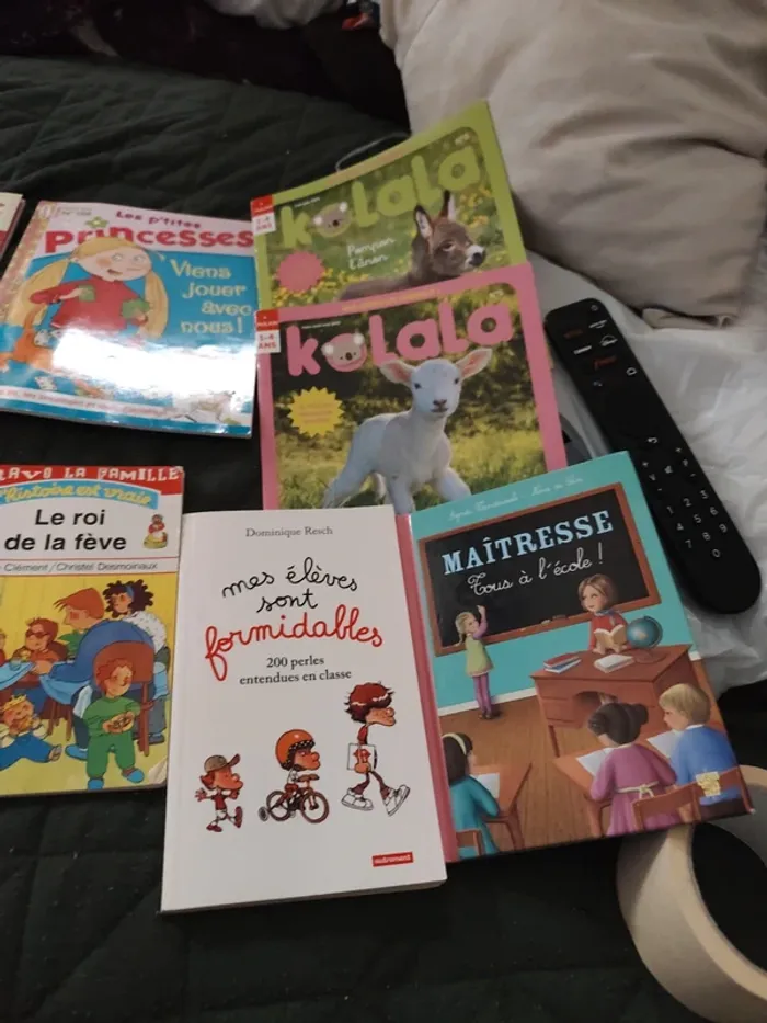 Lot de livres - photo numéro 4