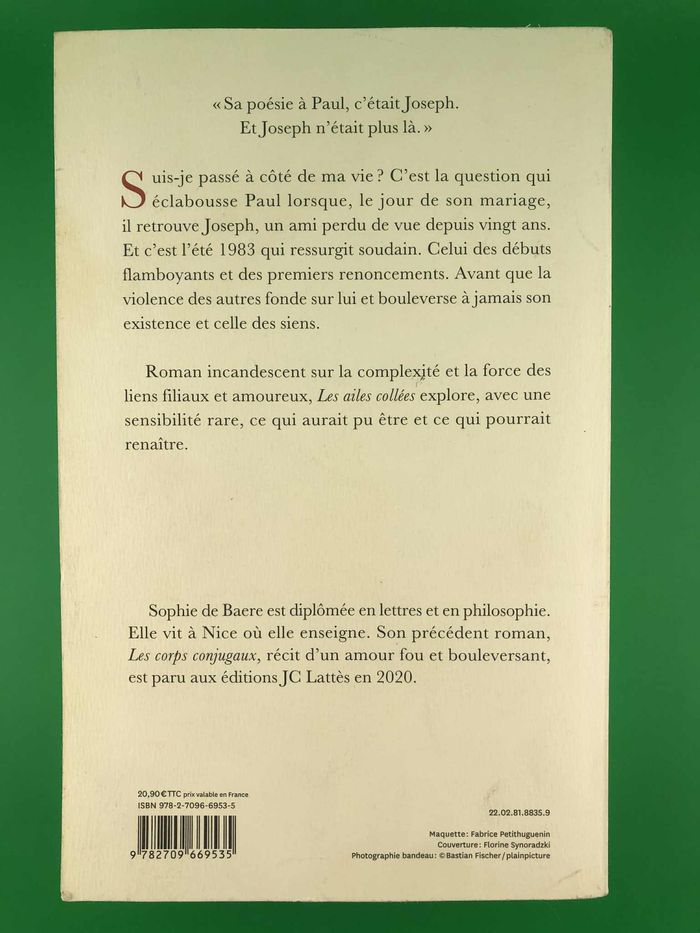 Les ailes collées - Sophie de Baere - photo numéro 2