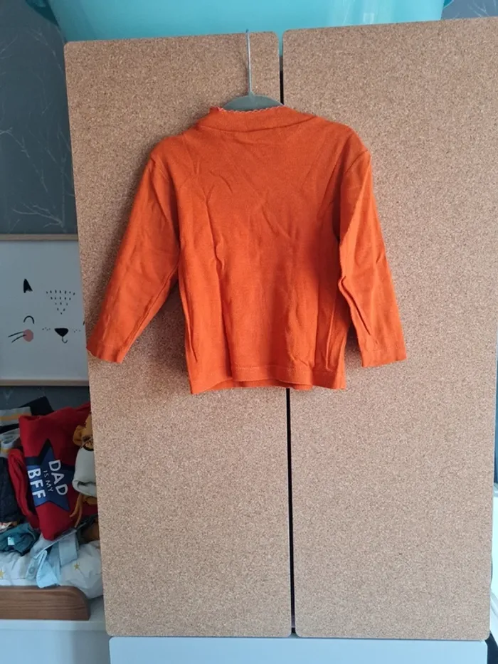Pull leger - photo numéro 2