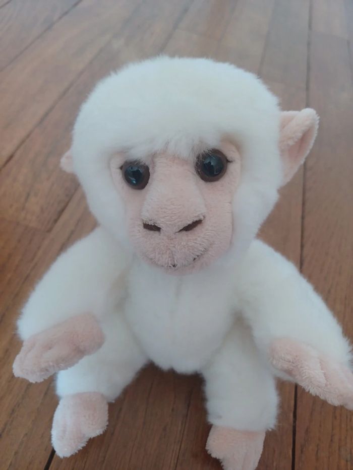 Petit singe - photo numéro 2