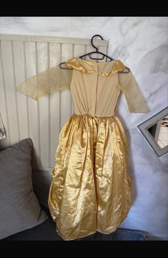 Déguisement belle et la bête - photo numéro 3