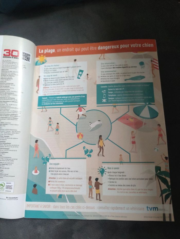 Magazine 30 millions d'amis numéro 375 été 2019 - photo numéro 4