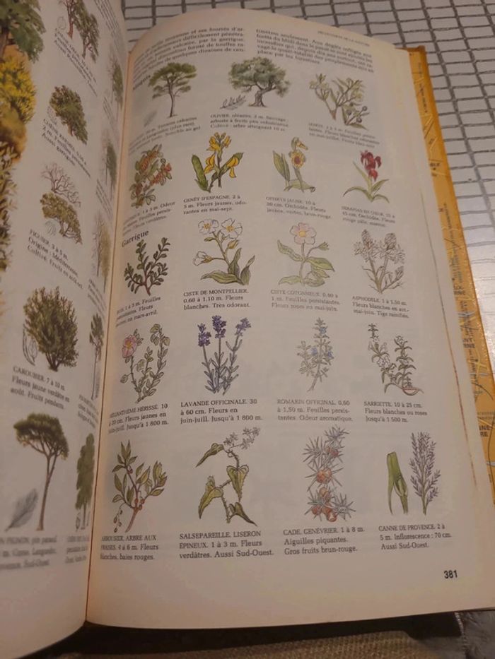 Nouveau guide de la route - photo numéro 4