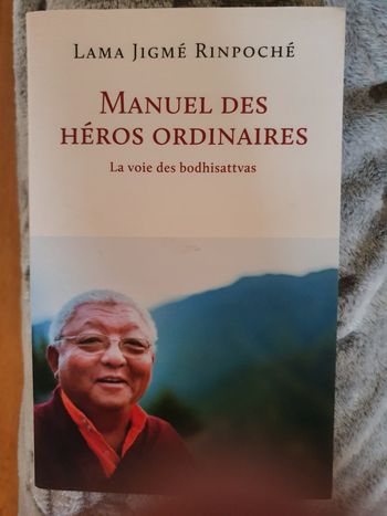 Manuel des héros ordinaires.La voie des bodhisattvas