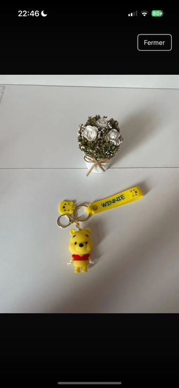 Porte porte Winnie l’ourson neuf