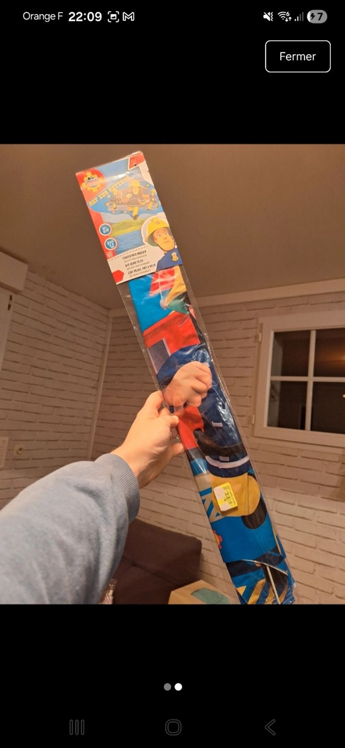 Cerf volant - photo numéro 2