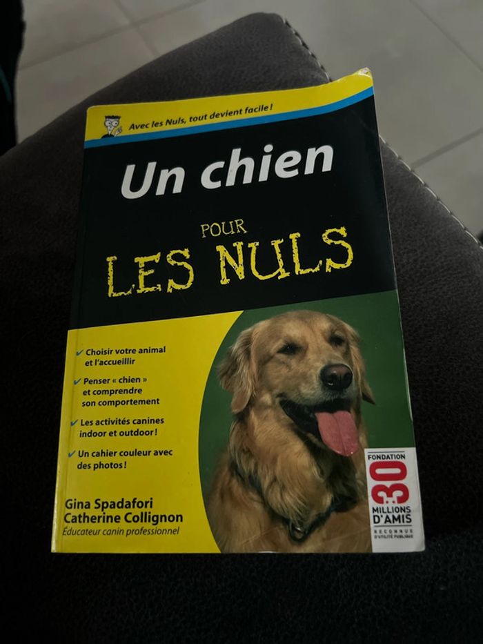 Un chien pour les nuls