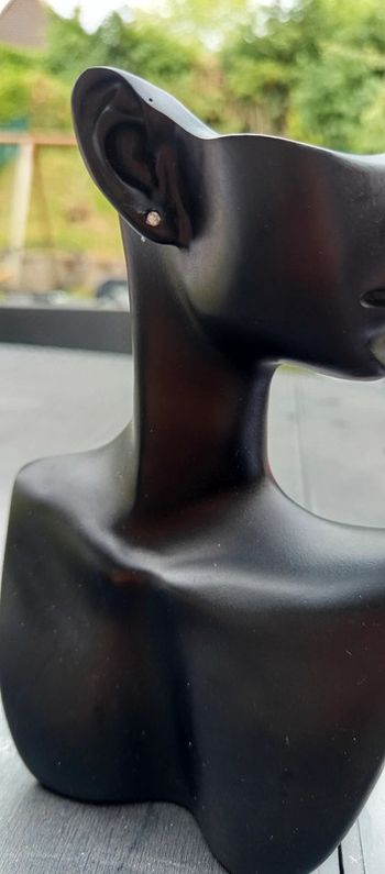 Boucles d'oreille diamant argenté