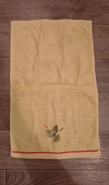 serviette invitée vert clair et brodée neuve Linvosges