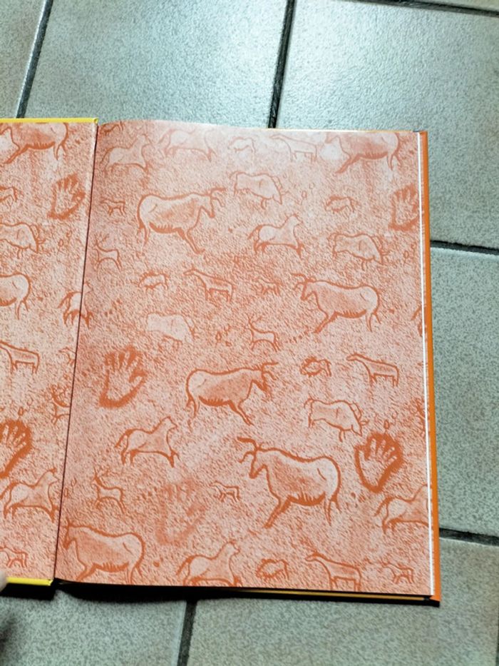 Livre 'l'age de pierre ' - photo numéro 2