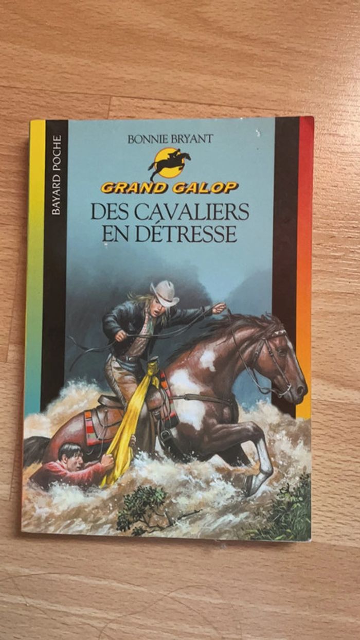 6 Livres sur les cheveaux - photo numéro 5