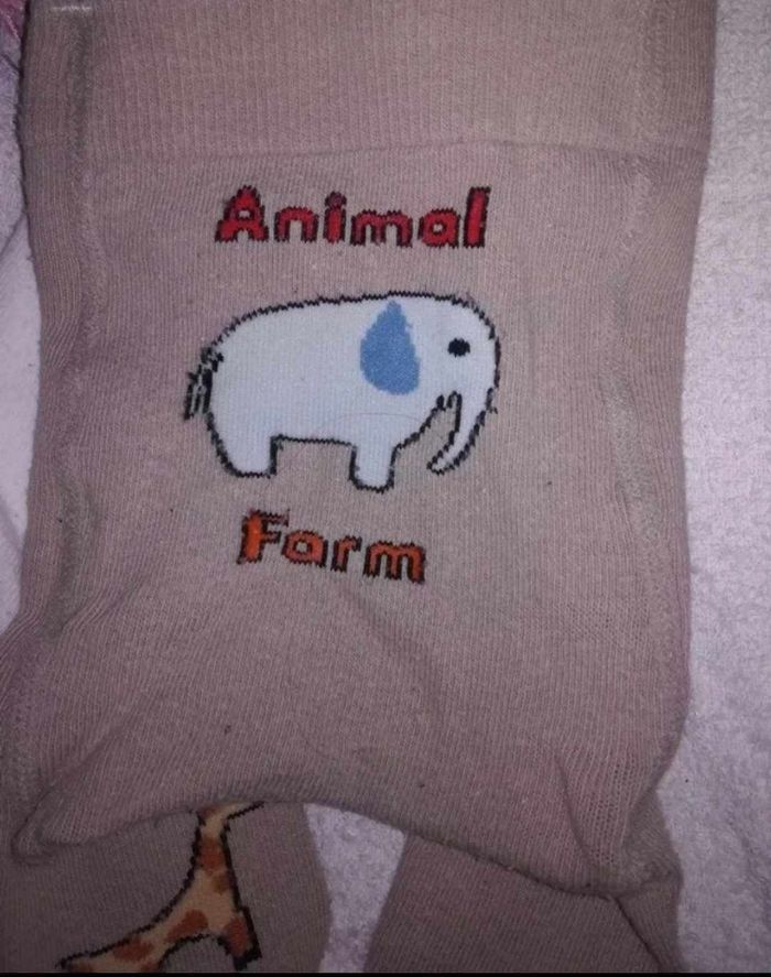 Lot de 2 collants 74-80 fille - photo numéro 4