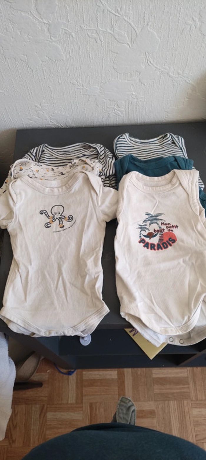 Bodies manches courtes 1mois - photo numéro 2