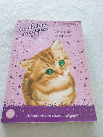 Livre Les chatons magiques n°1