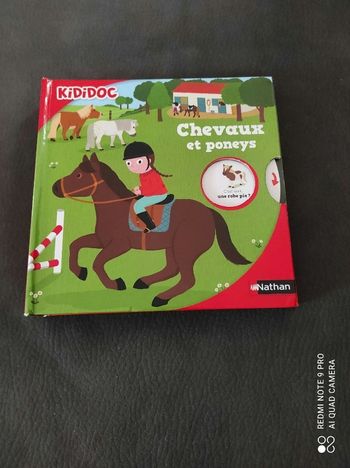 Livre kididoc chevaux et poneys