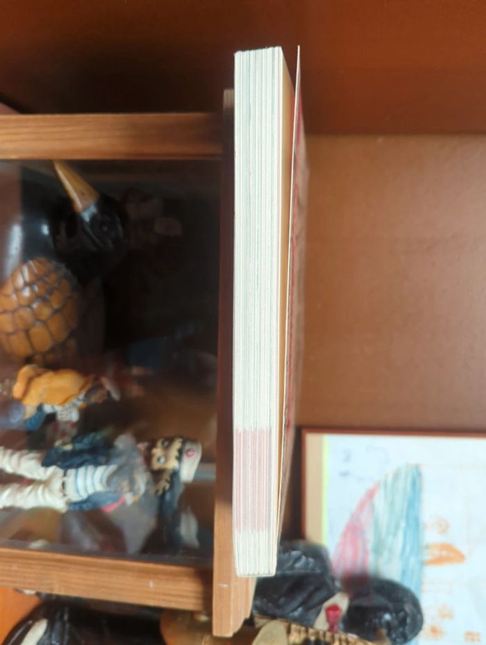 Le miroir de la grande guerre - photo numéro 4