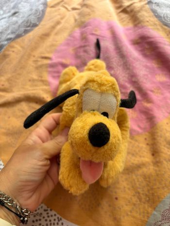 Petit pluto