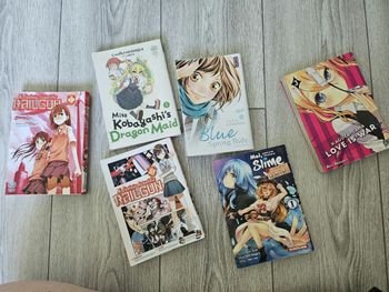 Lot manga