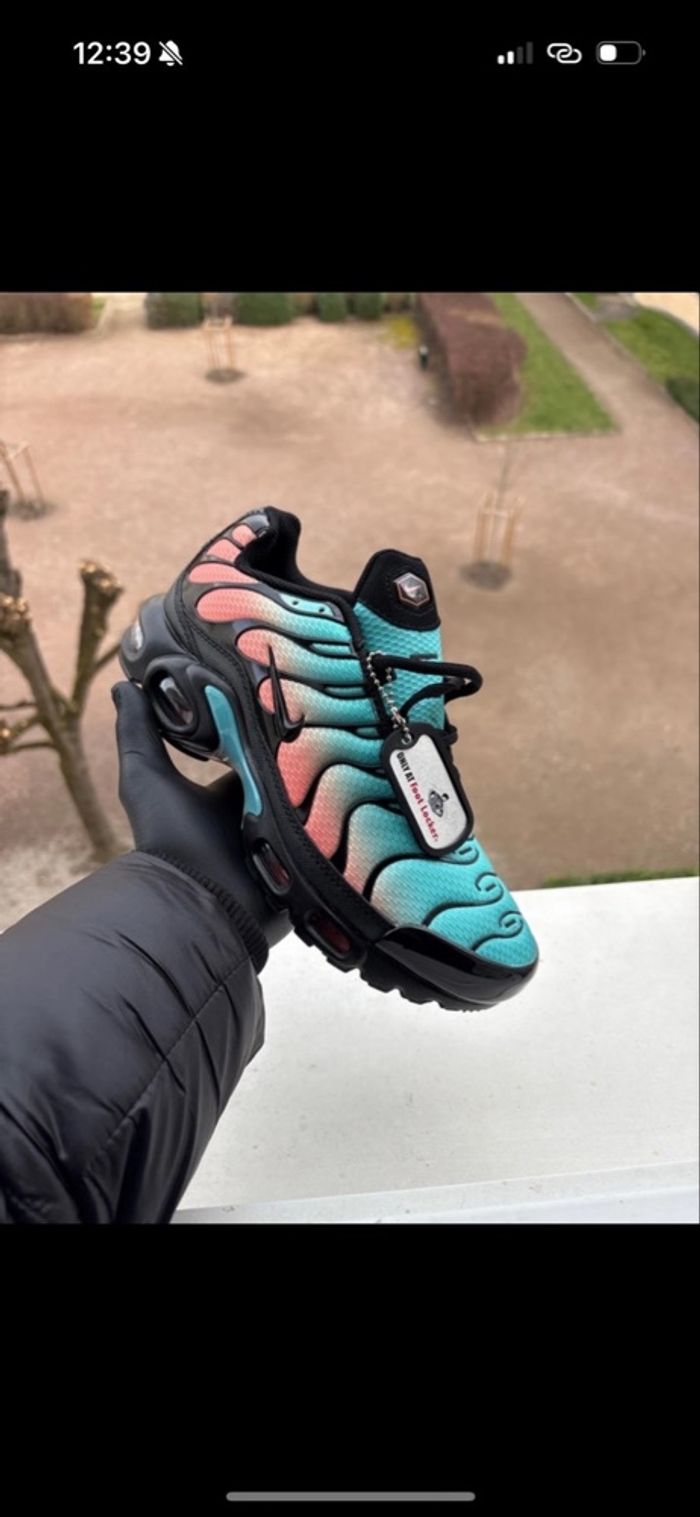 nike tn miami - photo numéro 1