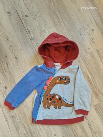Veste zippée à capuche DPAM