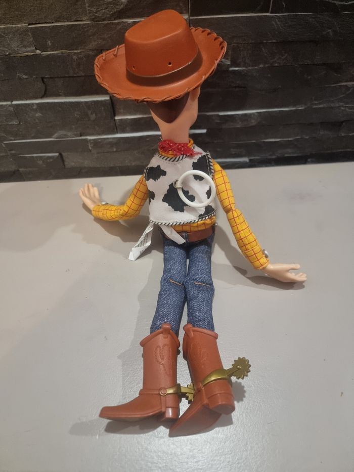 Woody - photo numéro 4