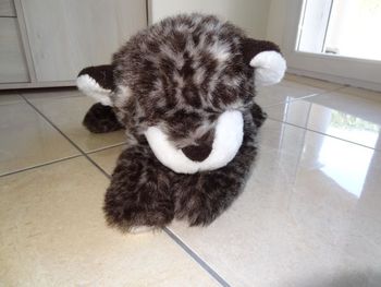 Peluche