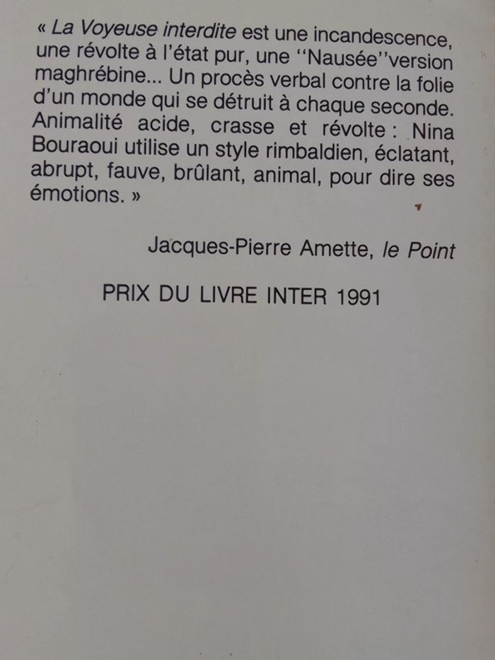 Nina Bouraoui - La voyeuse interdite - photo numéro 3