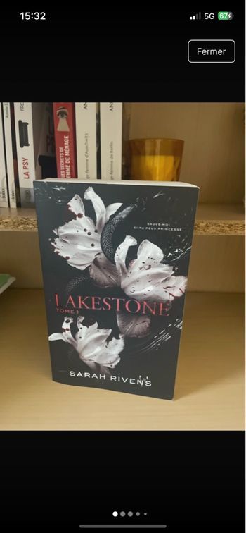 Livre Lakestone Sarah rivens