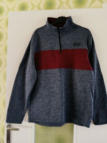 Pull polaire