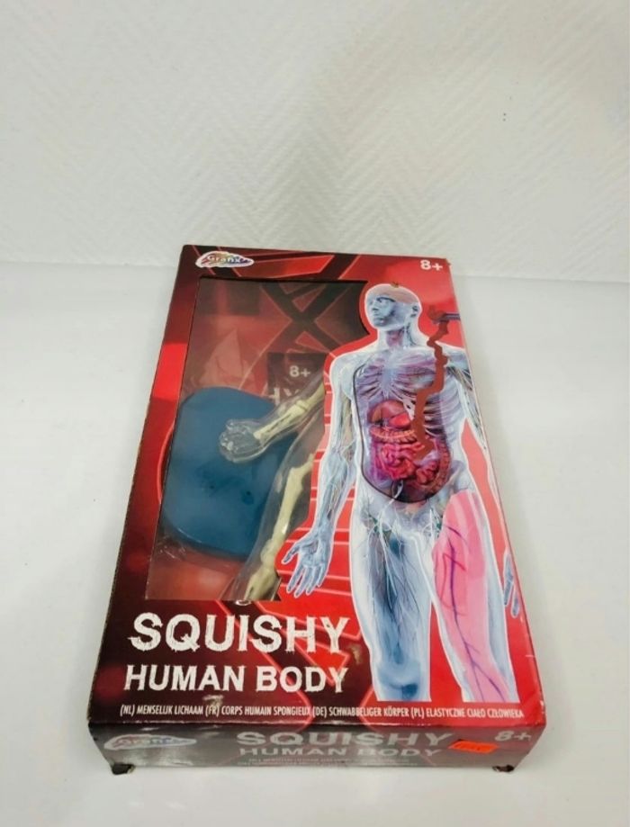Squishy Human Body - Squelette humain