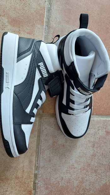 Basket Puma