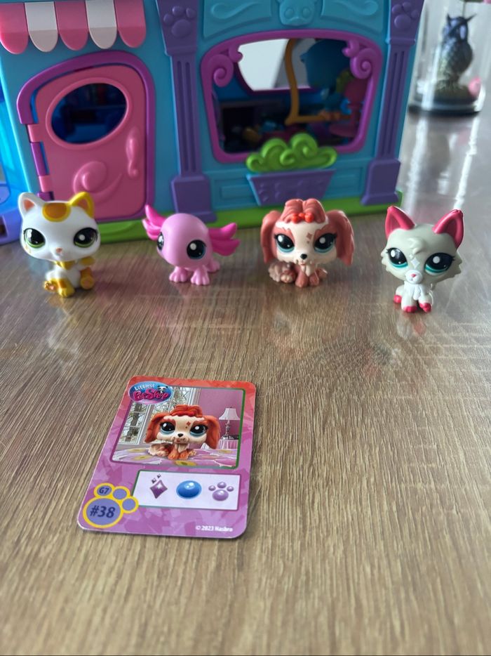 Petshop - photo numéro 8