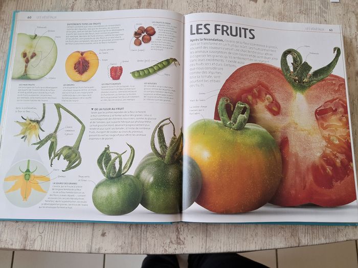 La grande encyclopédie visuelle de la nature - photo numéro 10