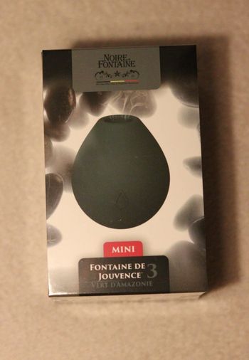 Stimulateur clitoridien