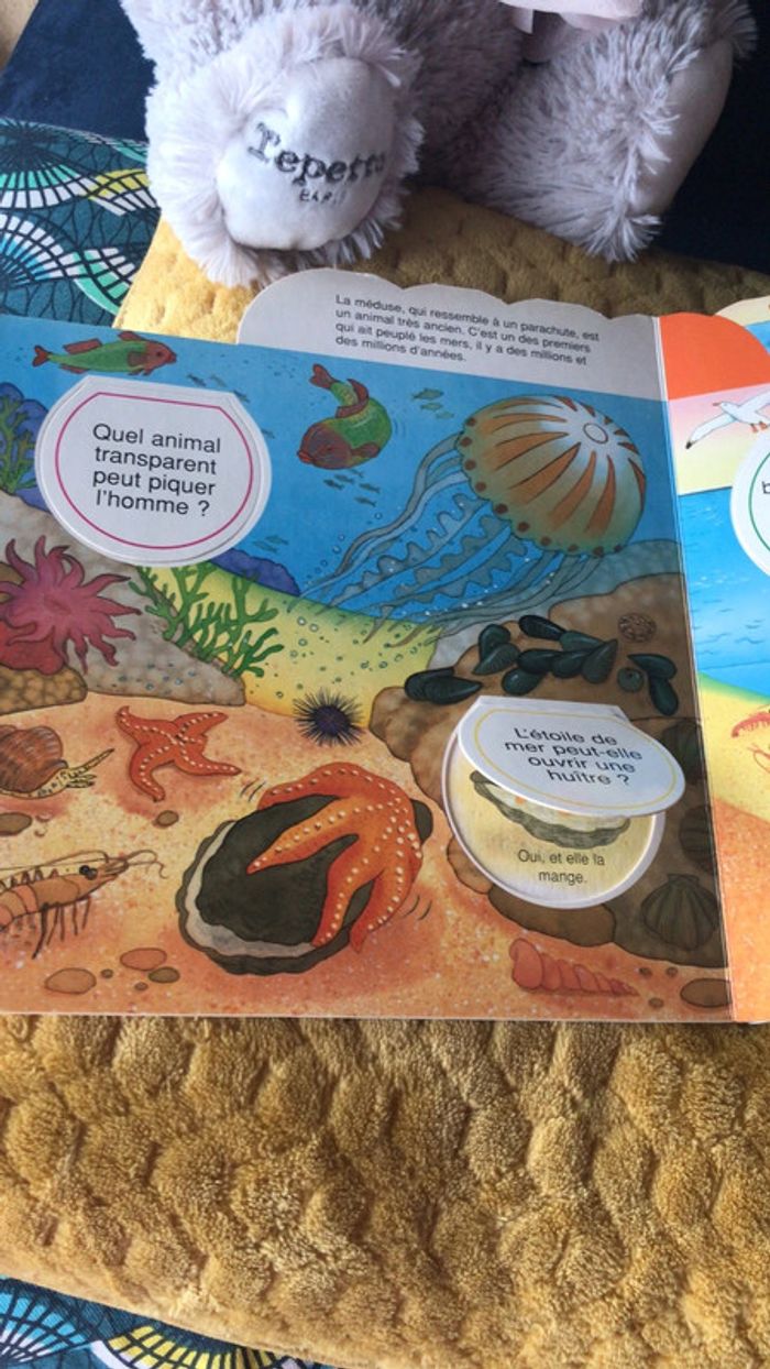 Livre les petits secrets de la mer - photo numéro 4