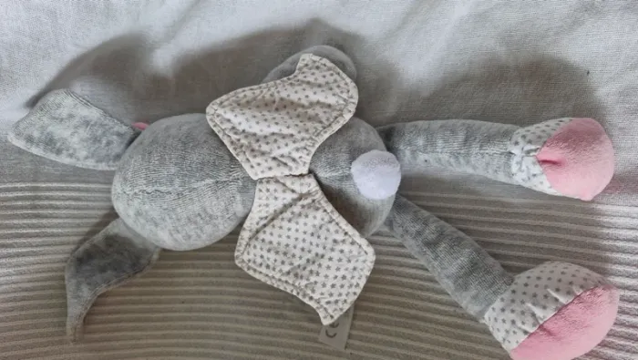 Lapin ange Simba - photo numéro 3