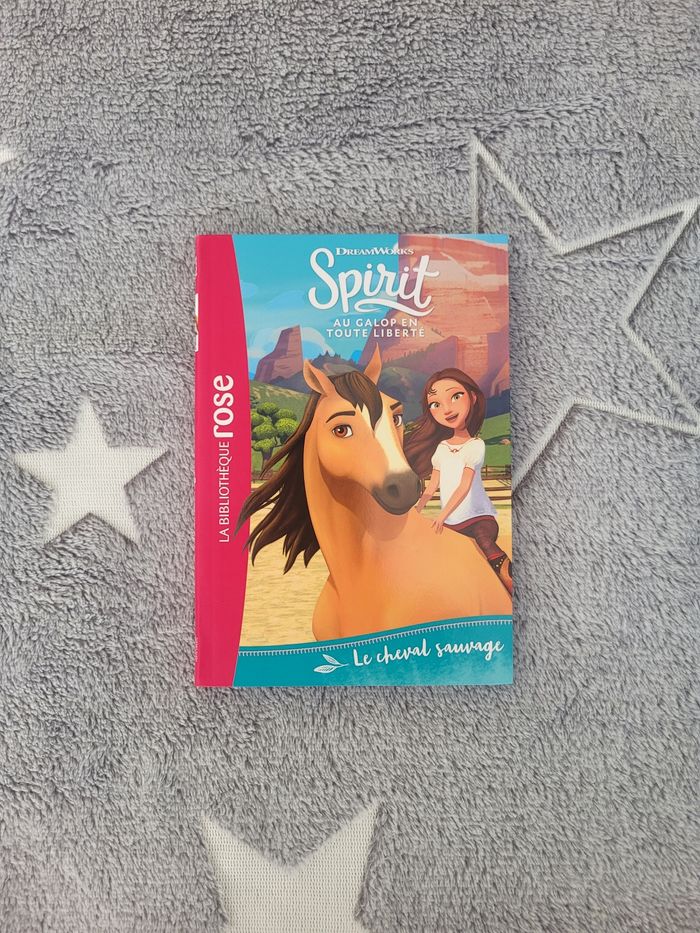 Spirit Le cheval sauvage - photo numéro 2