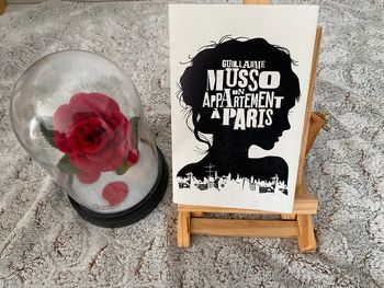 Livre un appartement à Paris de Guillaume Musso