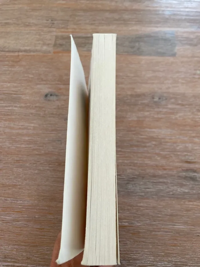 Livre Cœur Coco - photo numéro 5