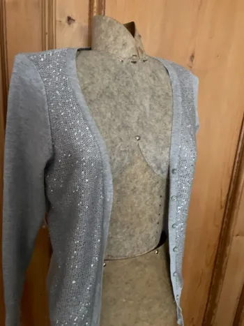 Gilet gris avec paillettes
