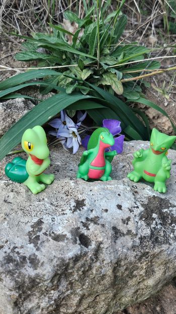 Super figurine Pokemon Nintendo finger puppet évolution Arcko masko jungko 