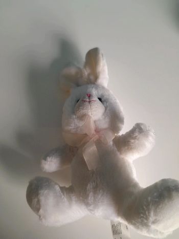 Lapin blanc