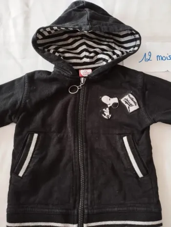 Veste