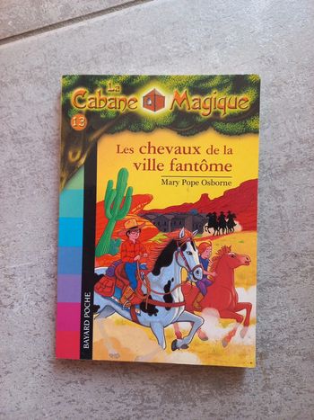 Livre pour enfant La cabane magique tome 13