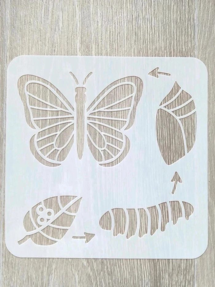 Pochoir du cycle de vie du papillon - photo numéro 2
